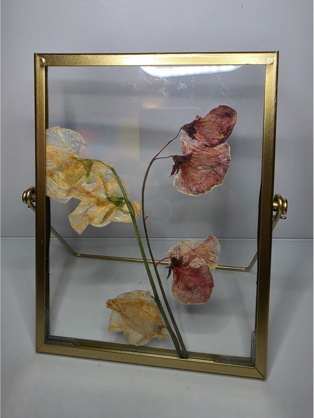 Gold Floating Frame Pressed Flower Art Botanical Glass Display